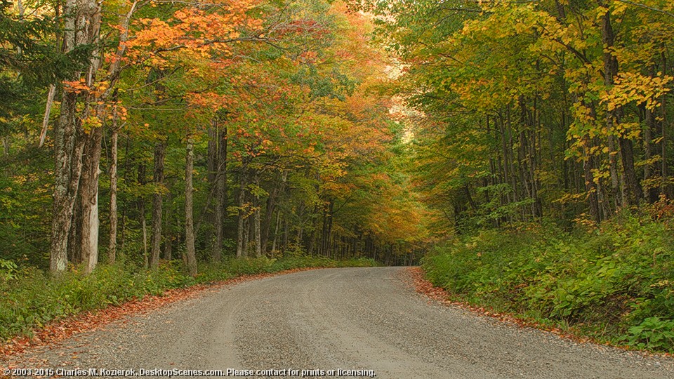 A Peaceful Road 