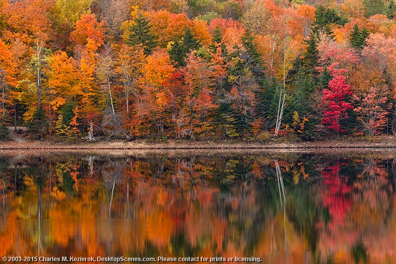 Autumn Impressions 