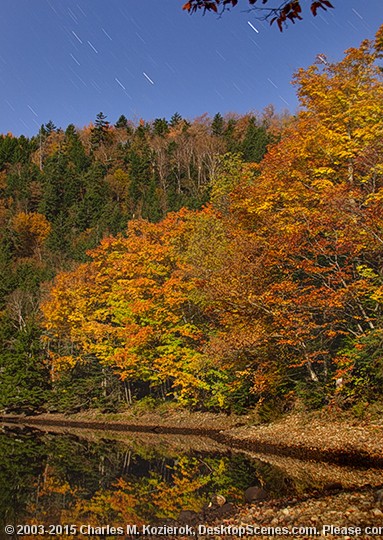 Autumn by Moonlight 