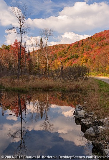 Beaver Pond Symmetry 