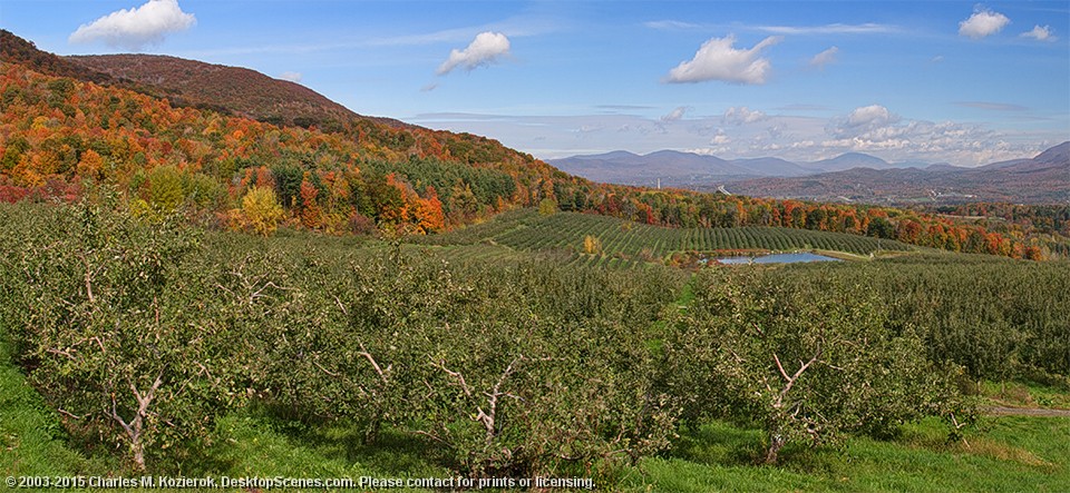 Bennington Valley from the Orchard 