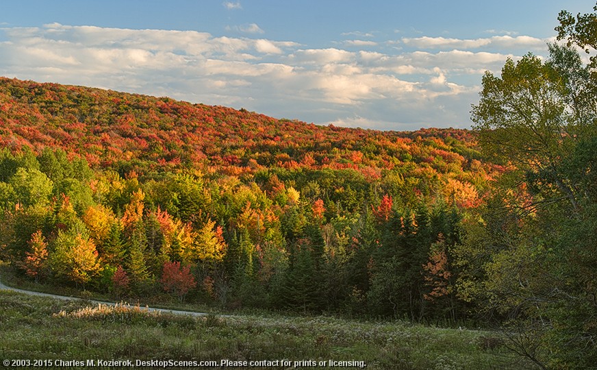 Deerfield Valley Colors 