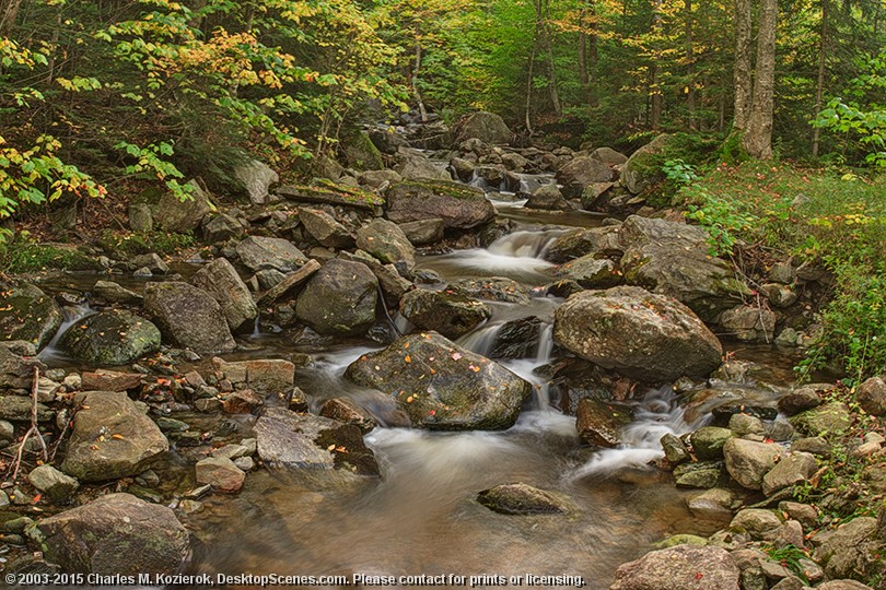 Early Autumn Flow 