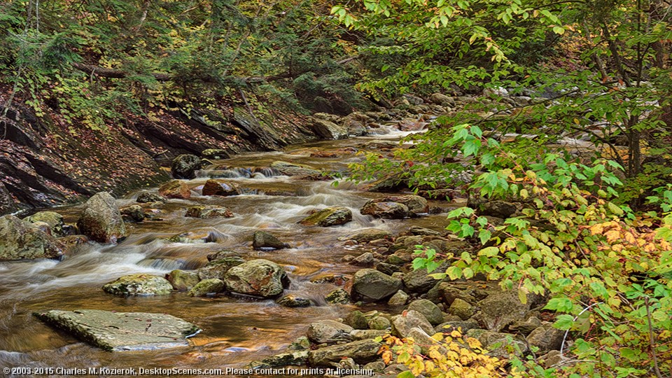 Early Autumn on Roaring Branch 