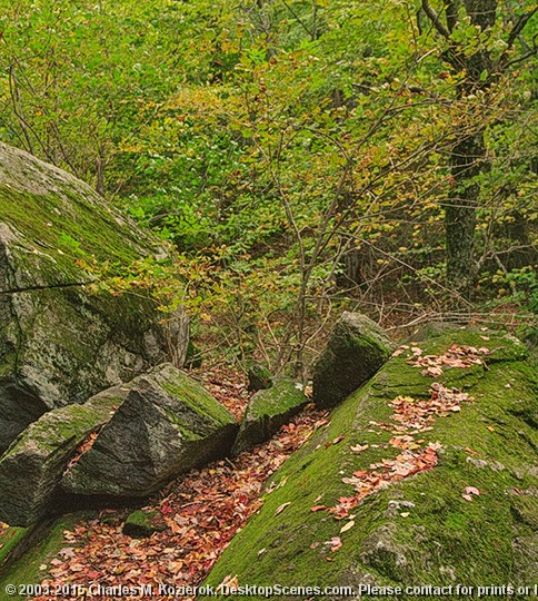 Fall on the Rocks 