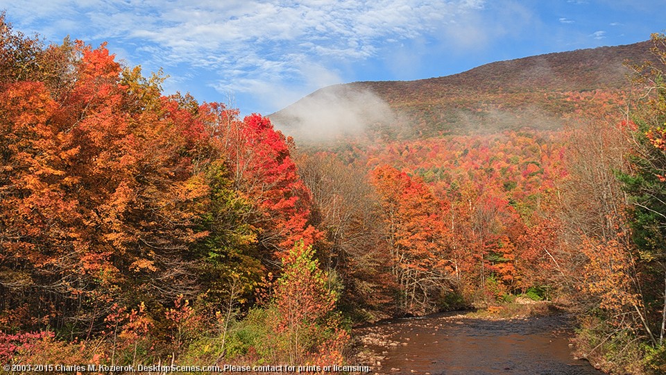 Mist in the Valley 