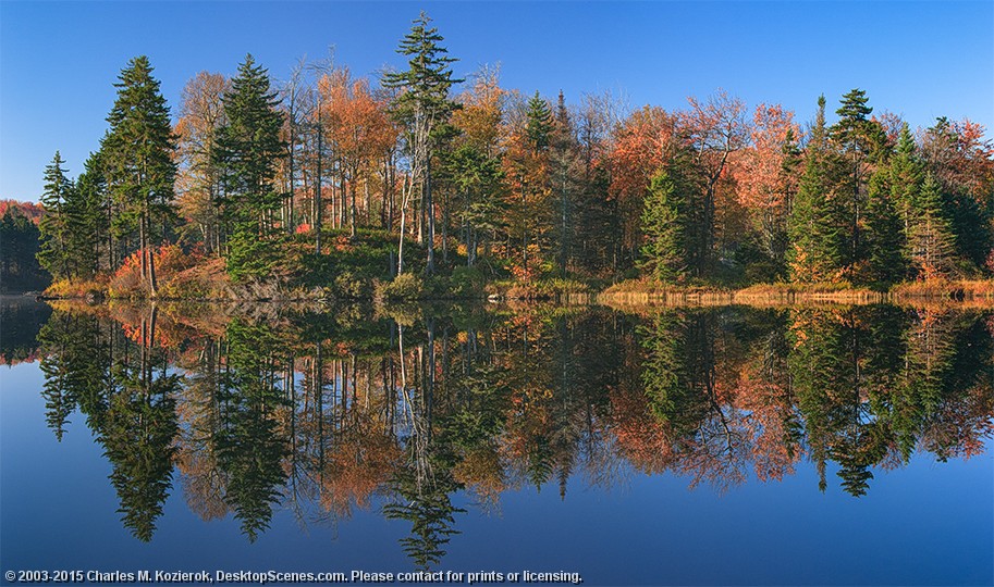 Woodford Pond Morning 