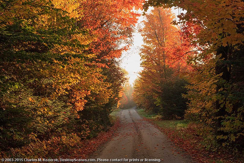 A Beautiful Drive in the Country 