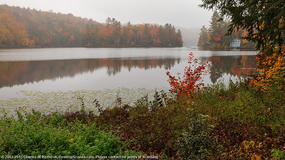 A Quiet Place on Curtis Pond 