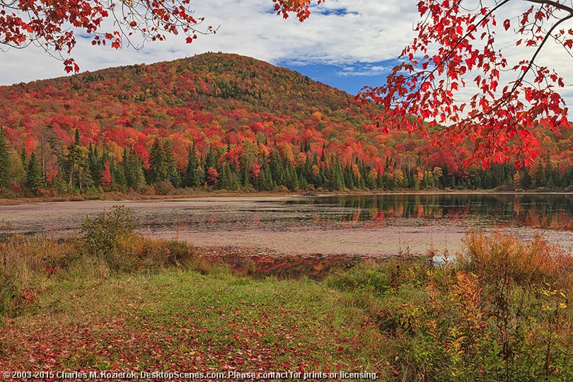 Another Wheeler Pond Postcard 