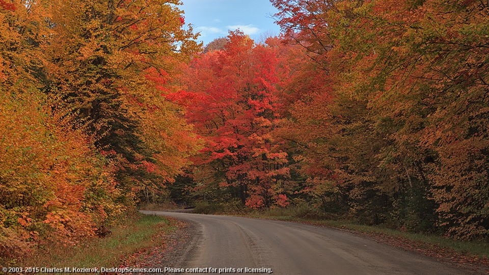 Bend on Abbott Hill Road 