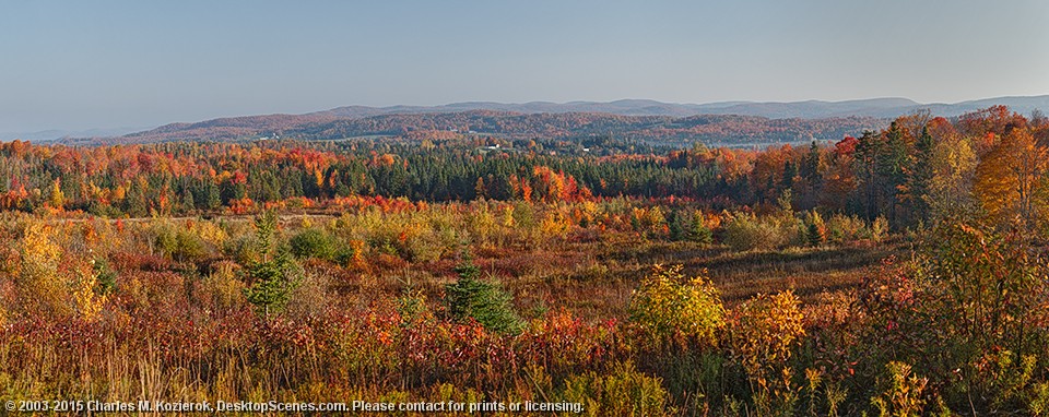 Cabot Plains Revisited 