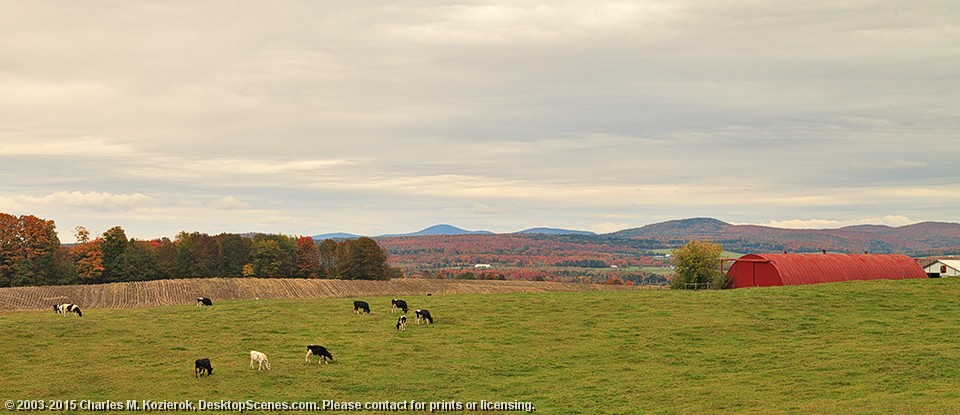 Cloudy Pasture