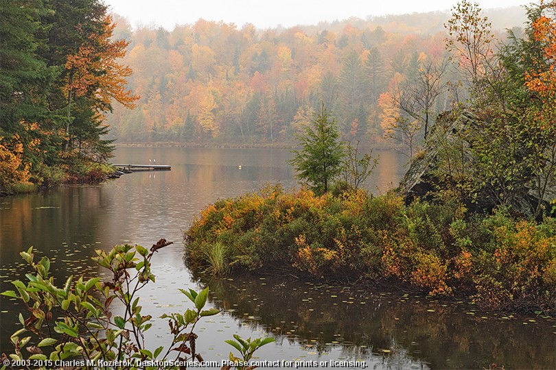 Cranberry Meadows Forever 