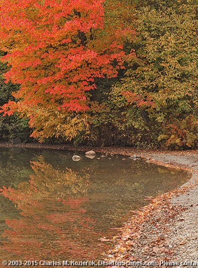 Echo Lakeshore