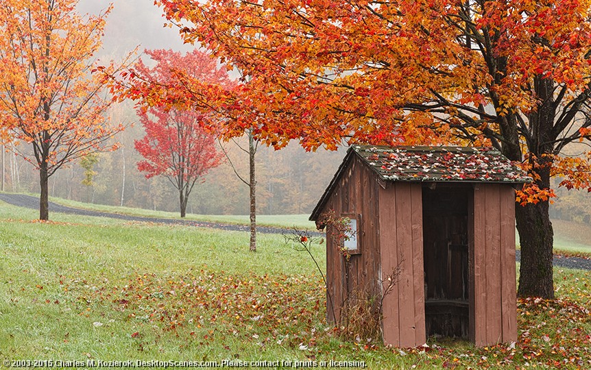 Festive Roadside Shack 