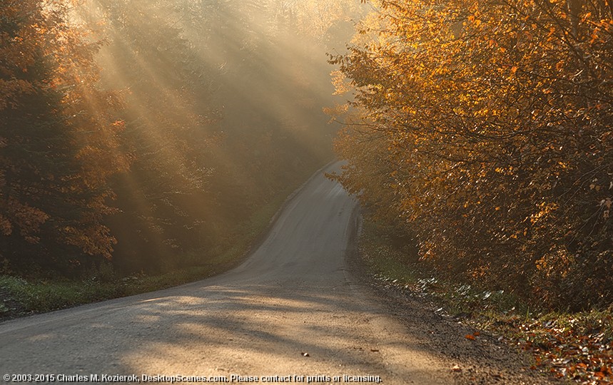 Fog Rays