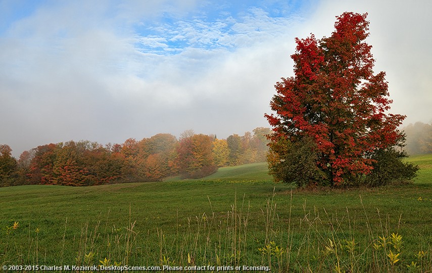 Foggy Ridge