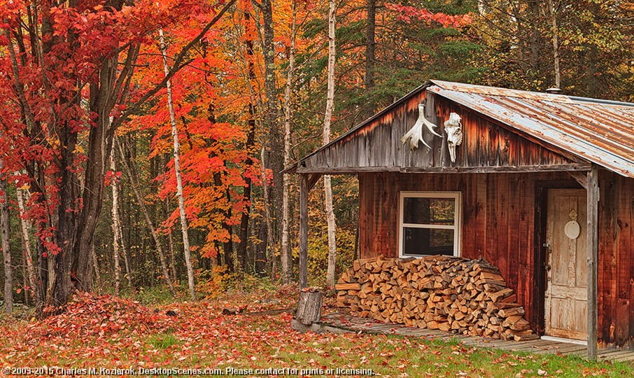 Hunting Cabin in the Middle of Nowhere 