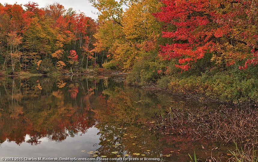 Lake Salem Reflections