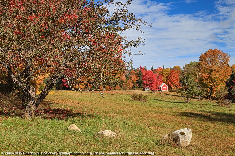 Little Red Cabin on Long Pond Road -- Farther and Narrower 