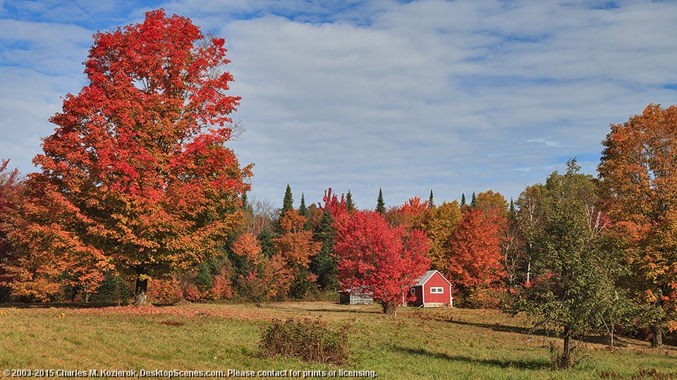 Little Red Cabin on Long Pond Road -- Nearer and Wider 