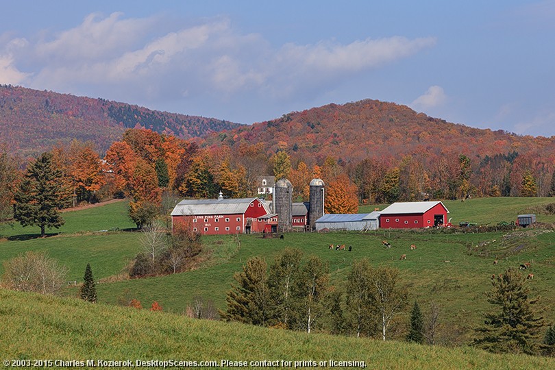 Lone Pine Farm 