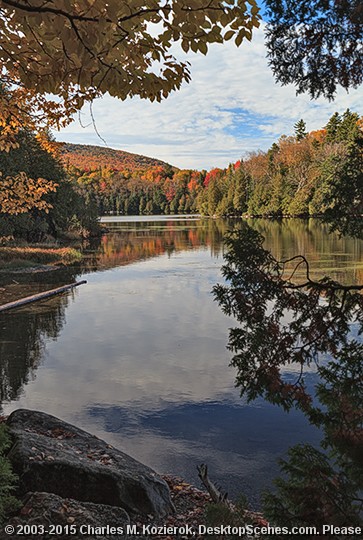 Long Pond Peekaboo