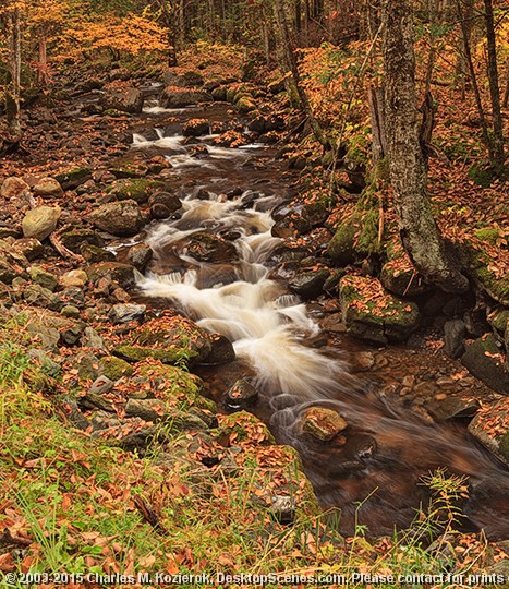 Mill Brook Cascade 