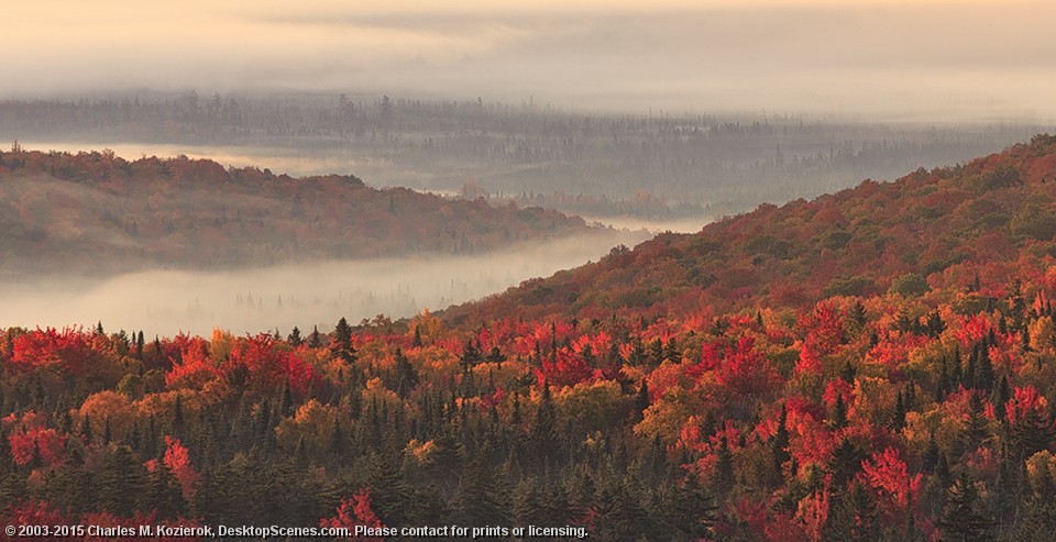 Mist Over the Silvio Conte Wildlife Refuge 