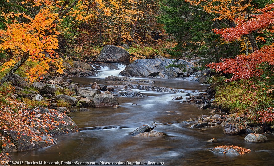 Moose River