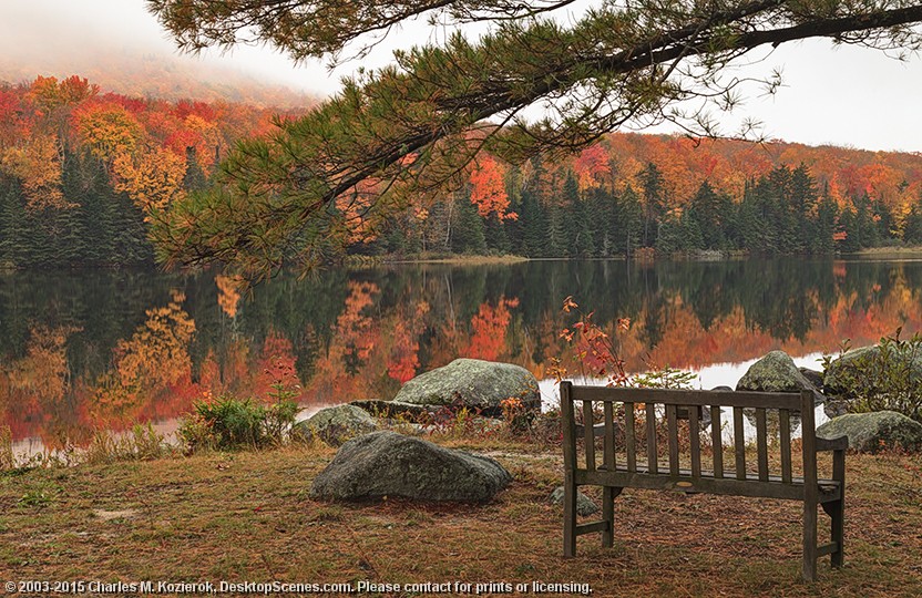 Noyes Pond Contemplations 