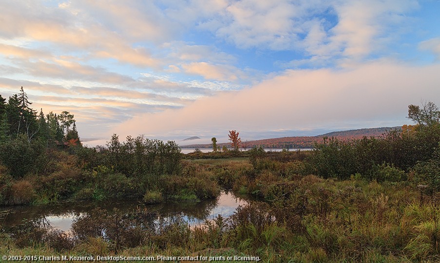 Pink Marsh