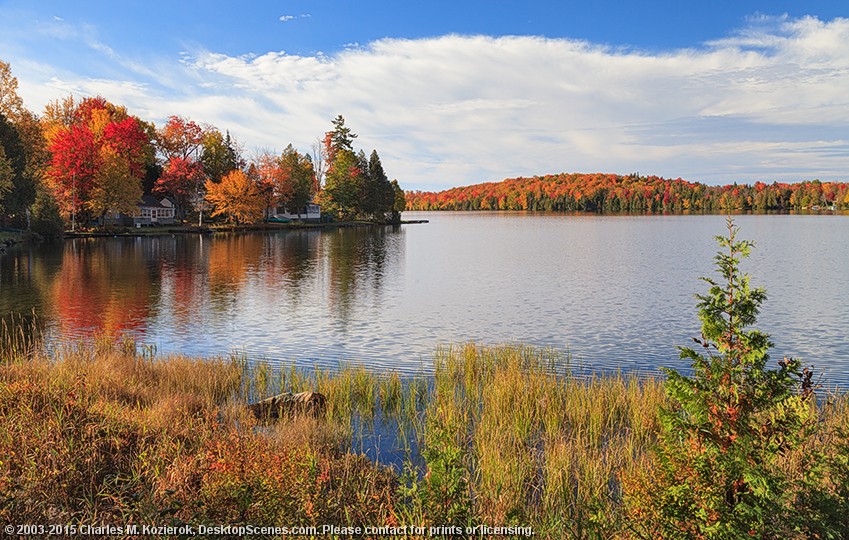 Sparkling Newark Pond 