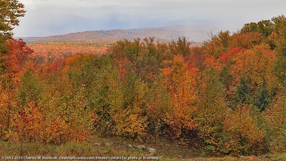 Stannard Mountain Road Vista