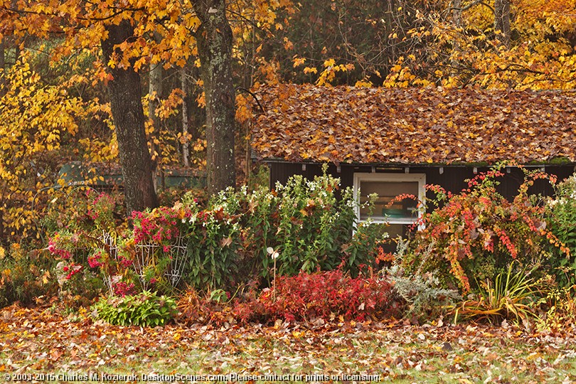 The Prettiest Garage I Have Ever Seen 