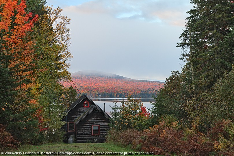 View from Cottage Road 