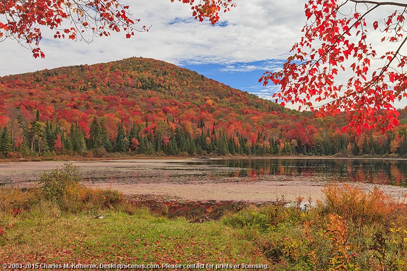 Wheeler Pond Postcard