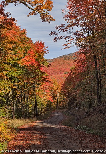 Winding Through Westmore 