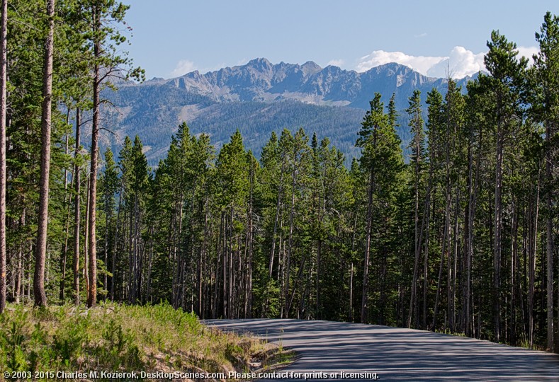 Road to the Mountains