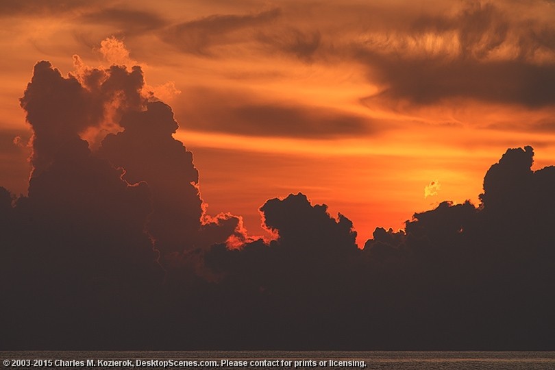 Towering Silhouettes