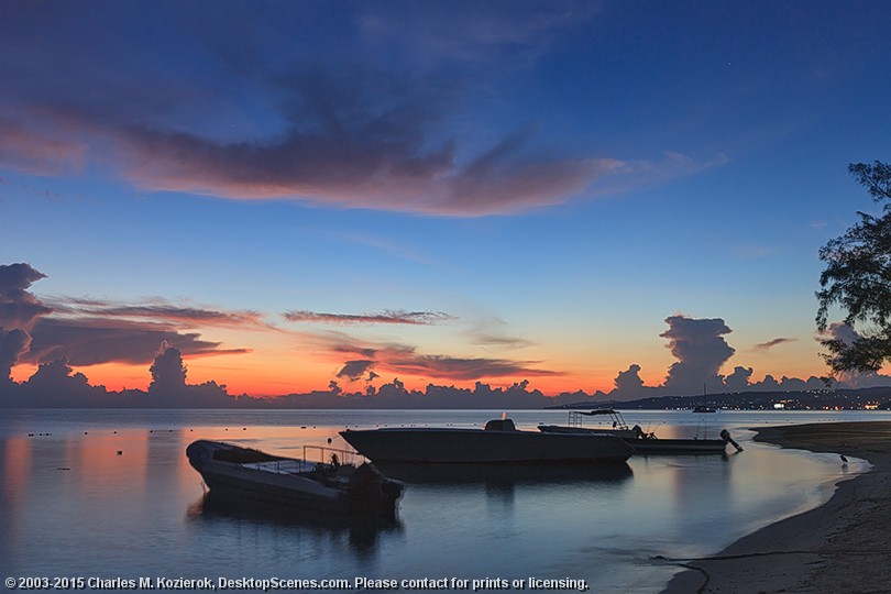 Tropical Twilight Two