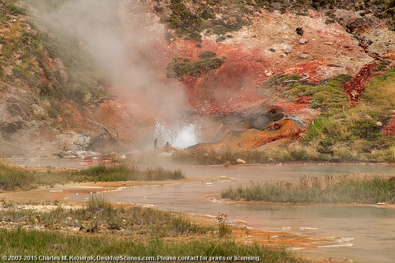 Artist Paint Pots Basin 