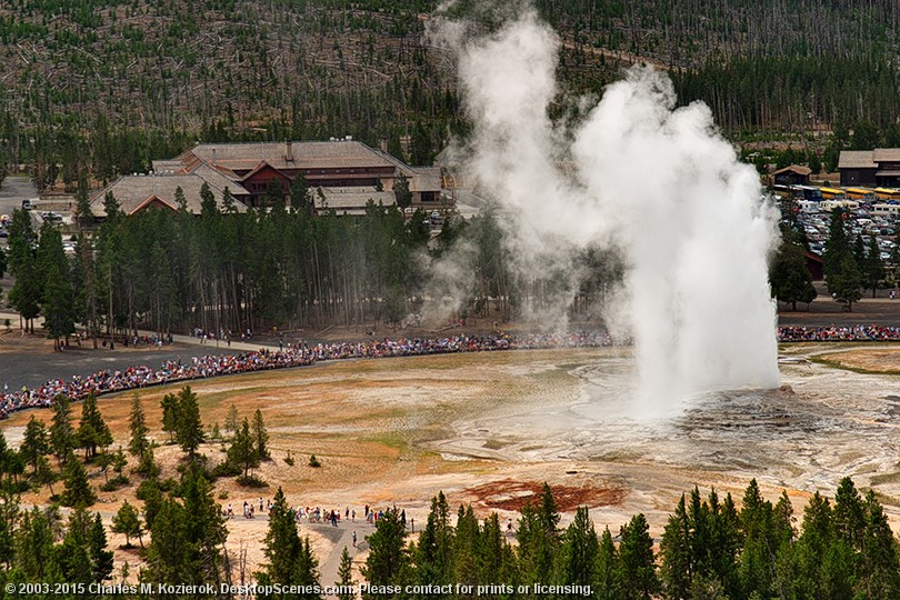 Captive Audience -- Old Faithful from Observation Point 