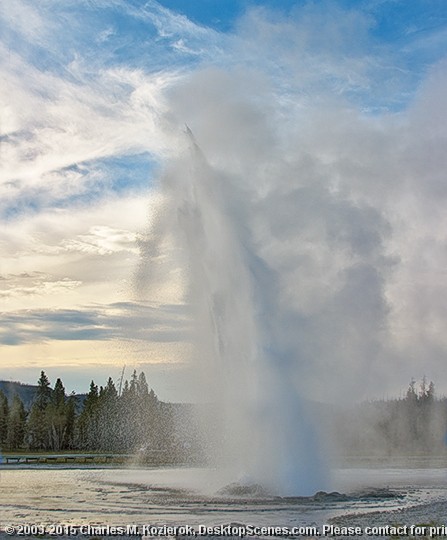 Daisy Geyser 