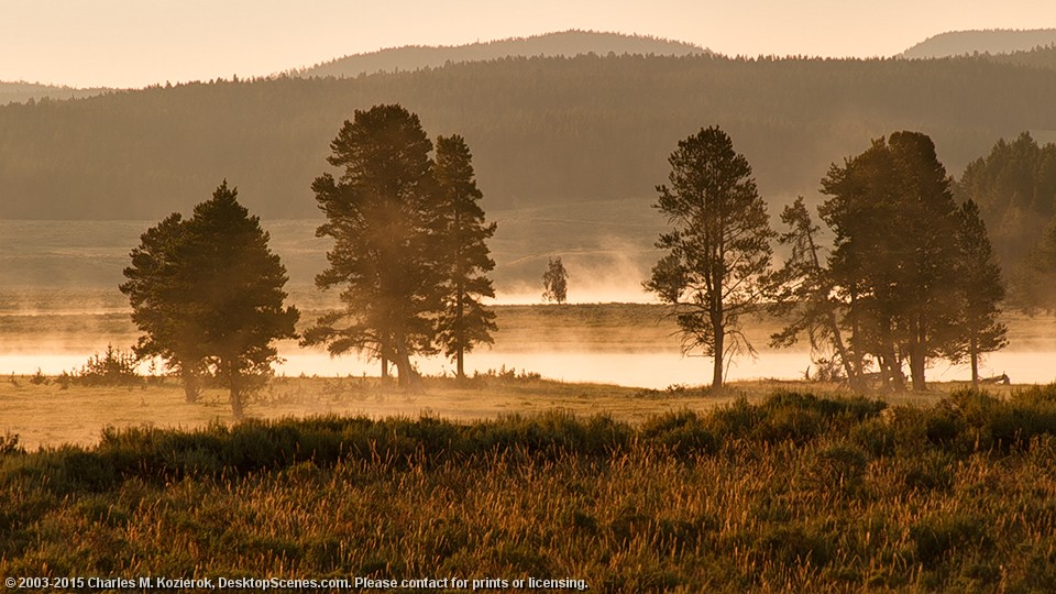 First Light -- Hayden Valley 