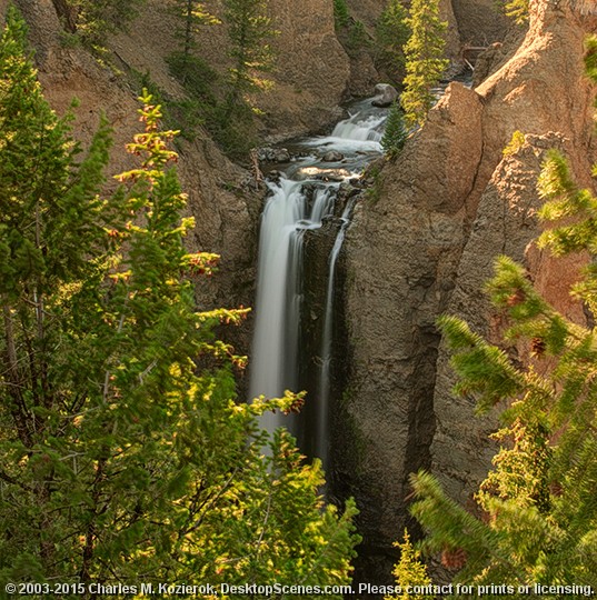 Golden Light on Tower Falls 