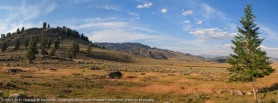 Lamar Valley -- Lone Tree Panorama