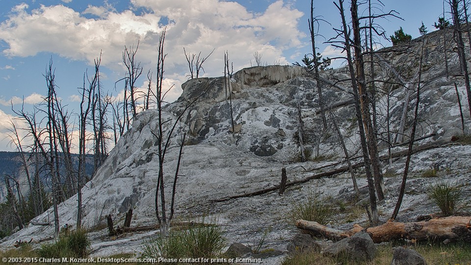 Mammoth Hot Springs -- Upper Terraces