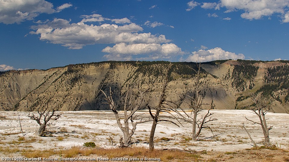 Mammoth Springs Sentinels